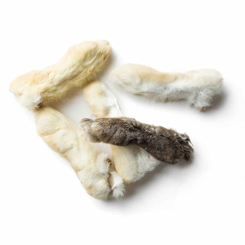 Rabbit Feet Rabbit Feet Dehydrated Dog Treat