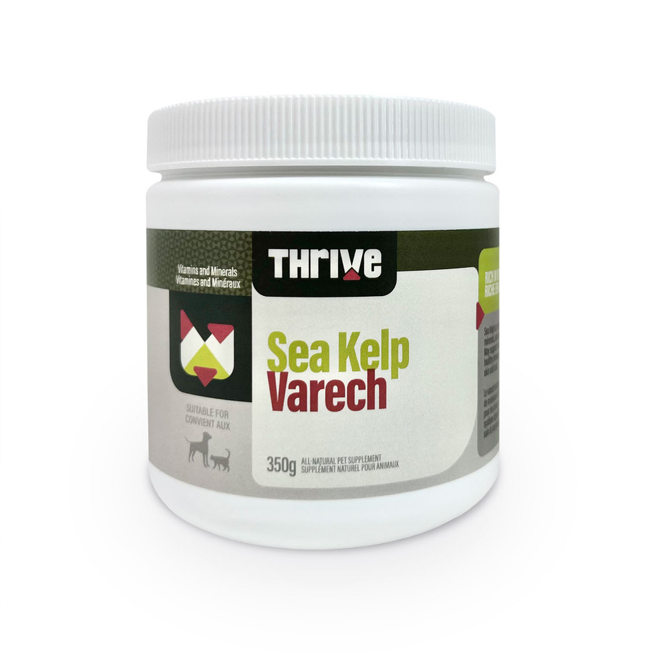 Thrive Supplements - Dehydrated Sea Kelp Thrive Supplements - Dehydrated Sea Kelp Dog Supplement