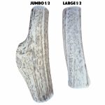 Elk Antlers - Split - Image 2