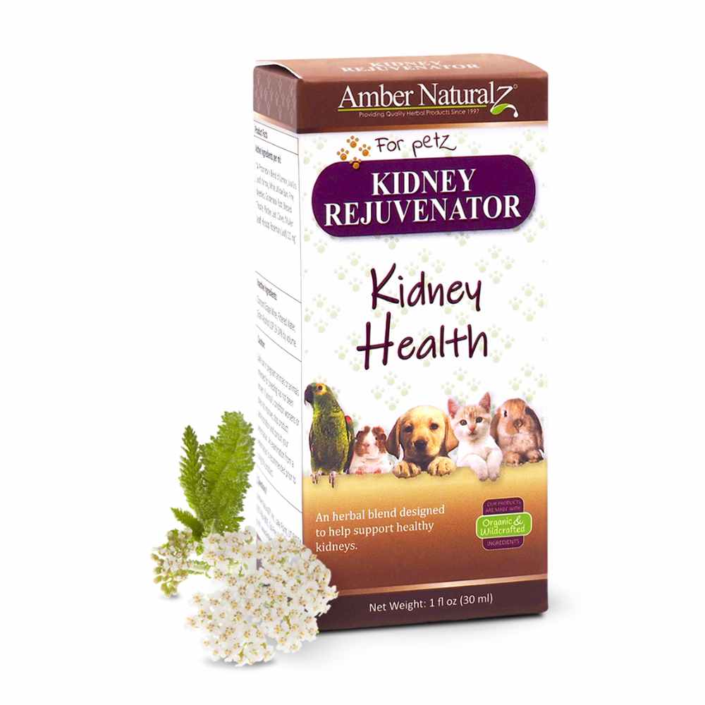 KIDNEY REJUVENATOR Amber Naturalz Kidney Rejuvenator Kidney Health Dogs Cats Supplement 30ml