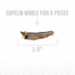 Icelandic+ Capelin Whole Fish - Image 5