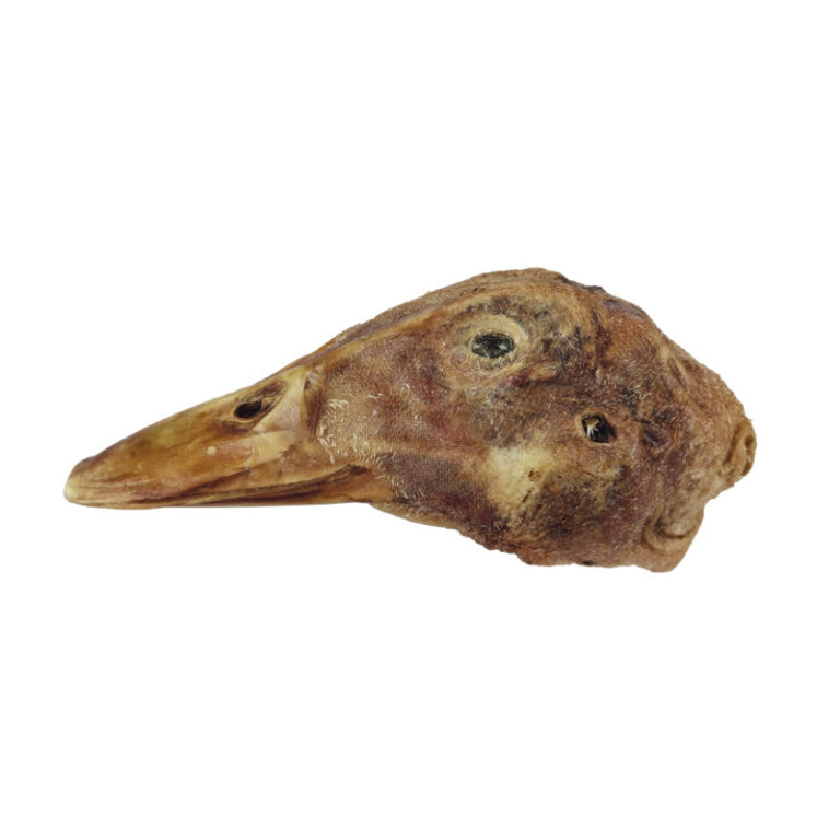 Freeze-Dried Duck Heads - VE RAW BAR - Image 1