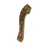 Freeze-Dried Duck Necks - VE RAW BAR