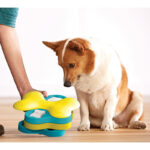 Nina Ottosson Dog Puzzles