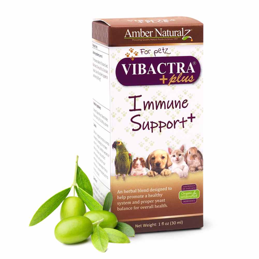 Vibactra Plus (1) Amber Naturalz Vibactra Plus Immune Support Dogs Cats Supplement 30ml