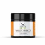 Turkey Tail Mushroom - Four Leaf Rover