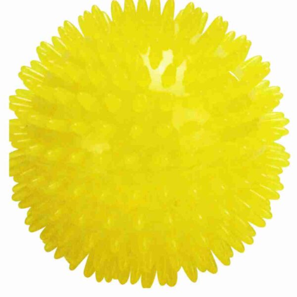 Spike Ball