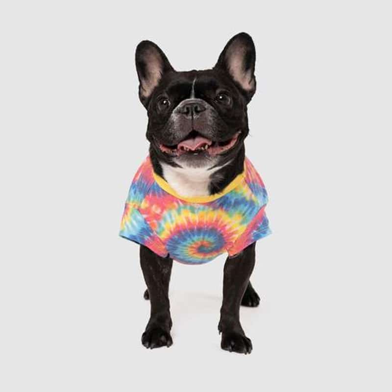 followmetee Follow Me Dog Tee - Canada Pooch - Image 1