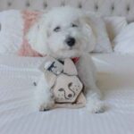 Natural Leather & Wool Scrappy Fox Toy - Image 2