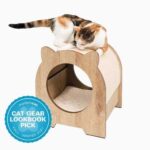 Vesper Minou - by Catit