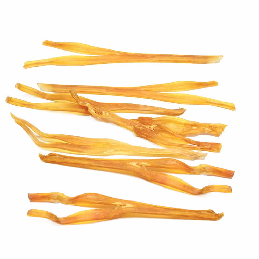 achilles tendon achilles tendon