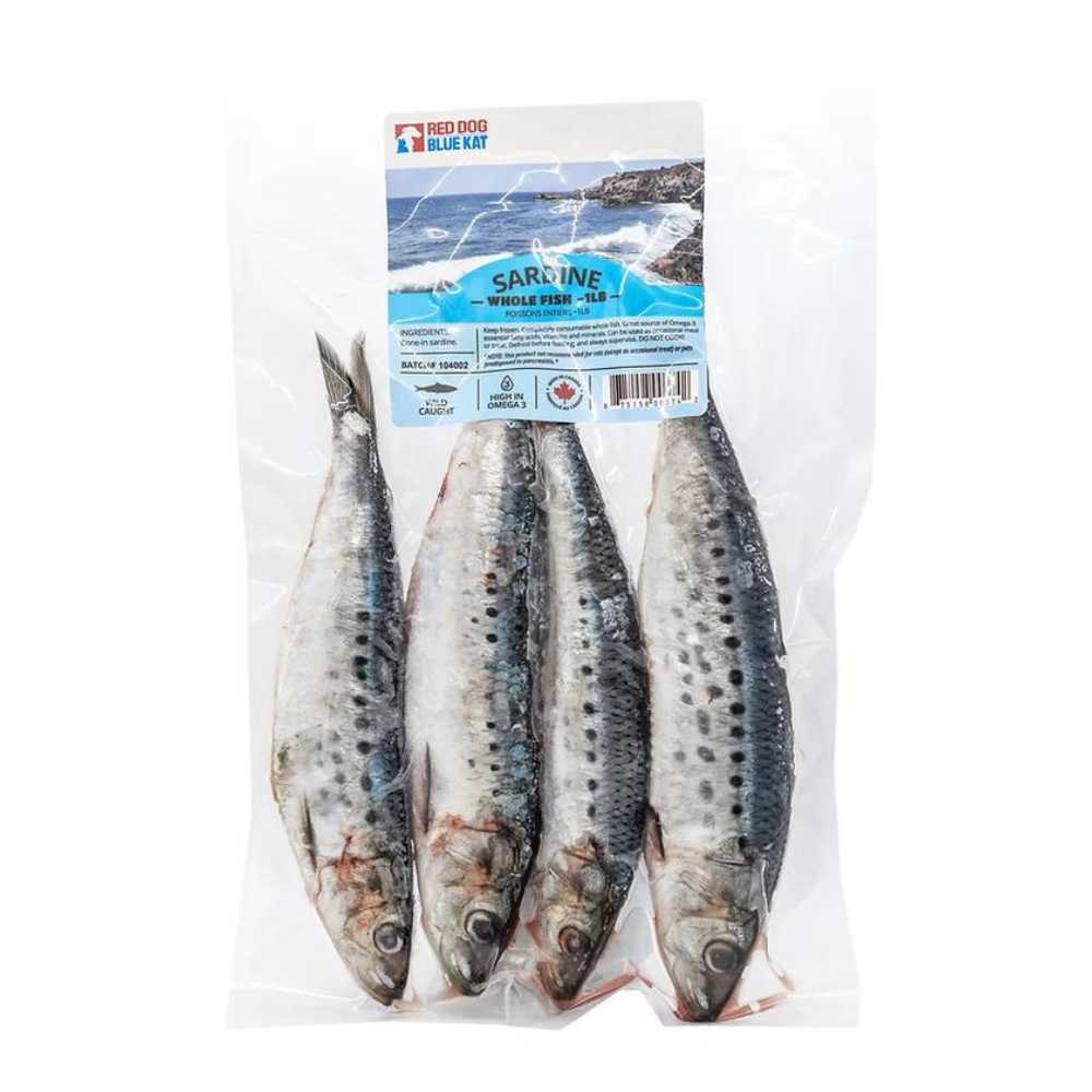 Red Dog Blue Kat Sardine Whole Fish 1lb Whole Large Sardine (RDBK) - 1lb - Image 1