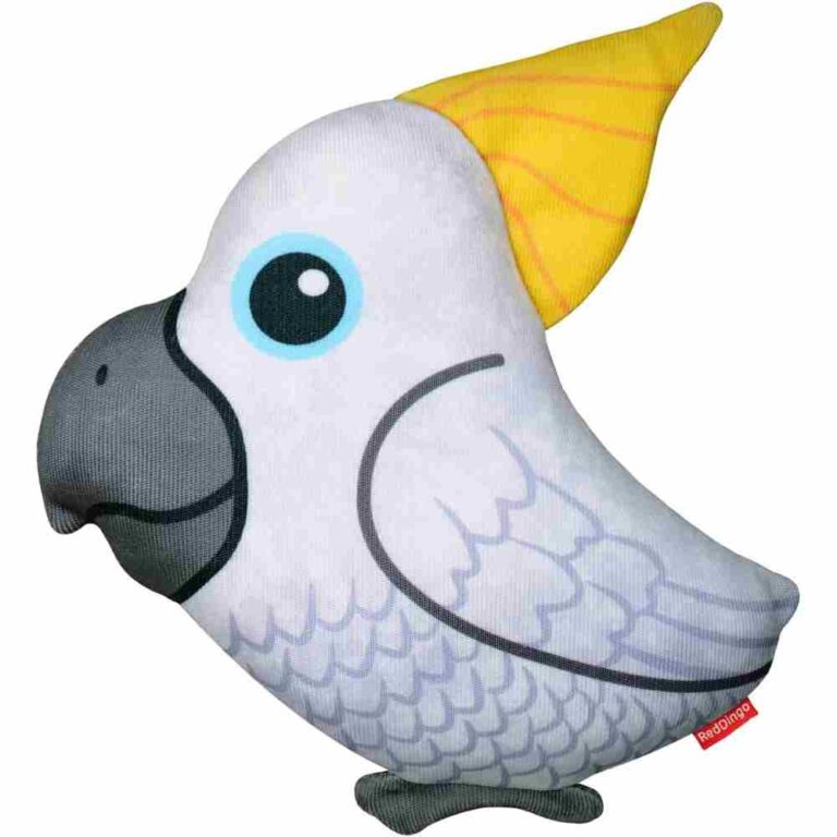 Red Dingo Craig the Cockatoo