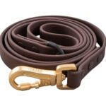 DexyPaws Espresso Leash Waterproof Dog Leash