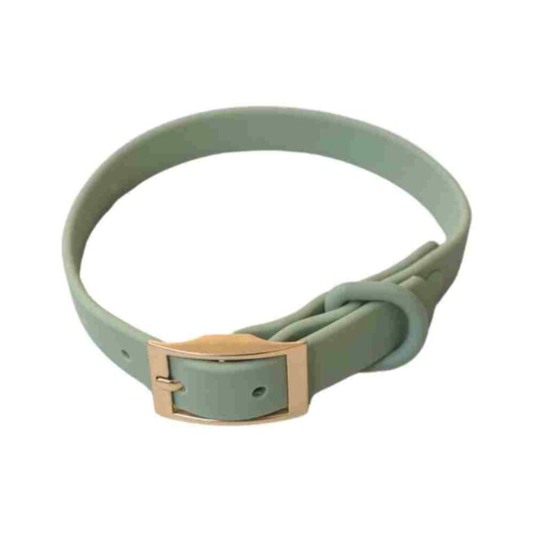 DexyPaws Waterproof Collar Sage Green