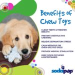 Sodapup Snowflake ultra durable chew toy with holiday theme info 2