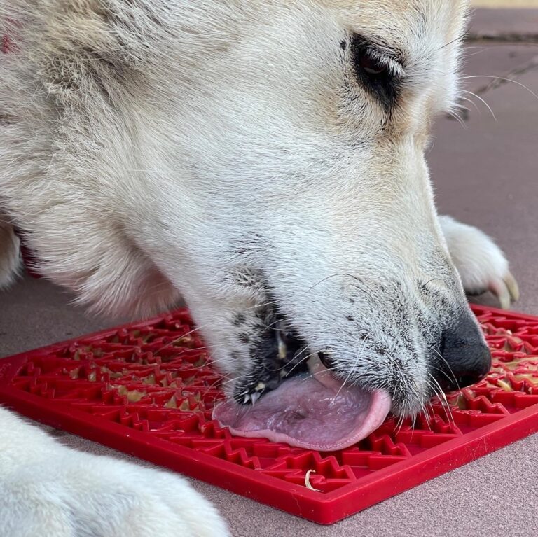 Sodapup Tree Design "Peace" eMat Enrichment Lick Mat dog licking mat 1