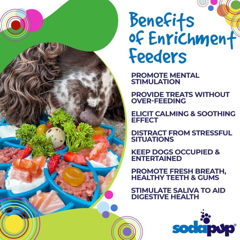 Sudapup Mandala Design eTray Enrichment Tray for Dogs info 2
