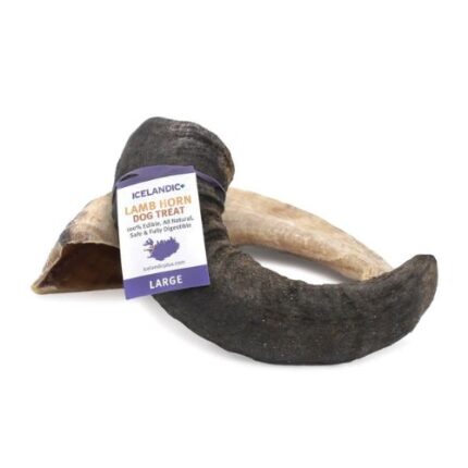 Icelandic+ Lamb Horn Dog Chew