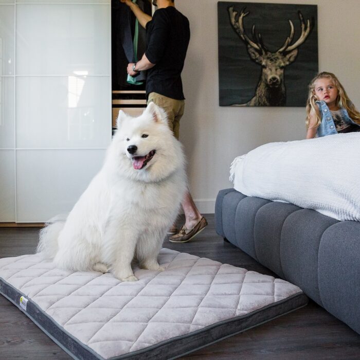 Be One Breed Orthopidic Diamond Dog Bed Grey