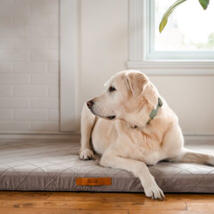 Be One Breed Orthopidic Diamond Dog Bed Grey