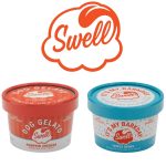 Swell Gelato for dogs frozen dog treat small batch limited ingredient